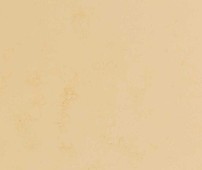 NeoMarm NM-115